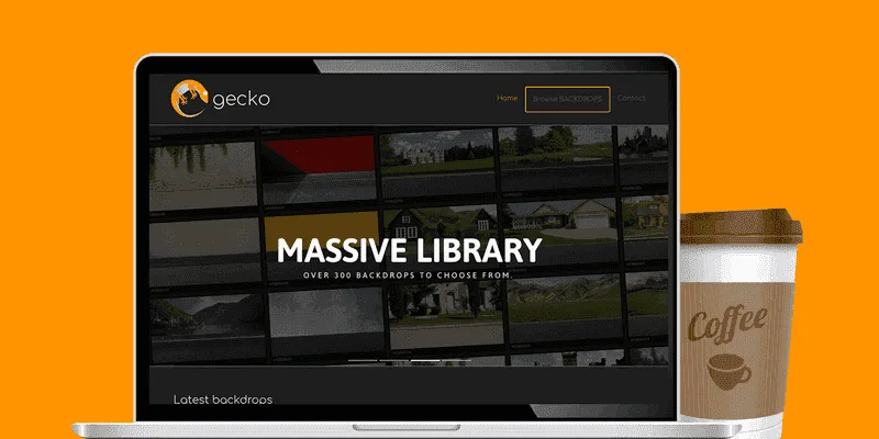 Gecko - Automotive backdrop replacement gallery