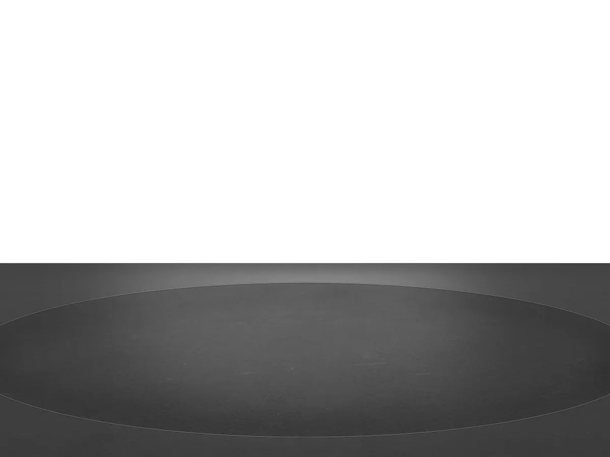 R1013