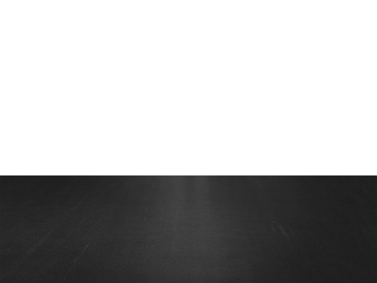 R1019